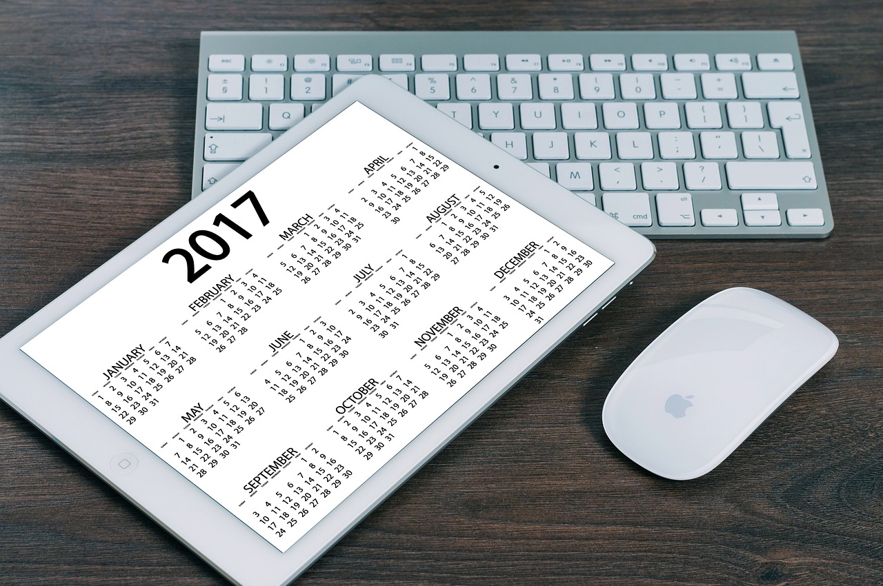 2024年12月 第799页